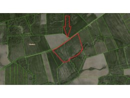 7.89 HA ŽEMĖS SKLYPAS ŠIRVINTŲ R. SAV., PABERŽĖS K.